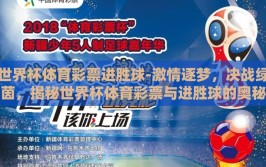 世界杯体育彩票进胜球-激情逐梦，决战绿茵，揭秘世界杯体育彩票与进胜球的奥秘