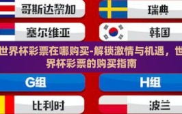 世界杯彩票在哪购买-解锁激情与机遇，世界杯彩票的购买指南