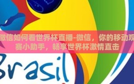 微信如何看世界杯直播-微信，你的移动观赛小助手，畅享世界杯激情直击