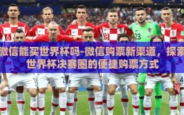 微信能买世界杯吗-微信购票新渠道，探索世界杯决赛圈的便捷购票方式