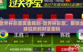 世界杯彩票奖金规则-世界杯彩票，解锁全球狂欢的财富密码