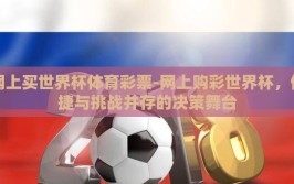 网上买世界杯体育彩票-网上购彩世界杯，便捷与挑战并存的决策舞台