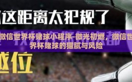 微信世界杯赌球小程序-微光初燃，微信世界杯赌球的猫腻与风险