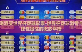 喝酒买世界杯足球彩票-世界杯足球激情与理性投注的微妙平衡