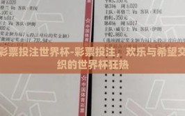 彩票投注世界杯-彩票投注，欢乐与希望交织的世界杯狂热