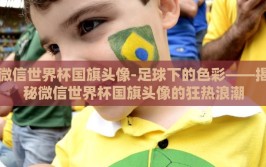 微信世界杯国旗头像-足球下的色彩——揭秘微信世界杯国旗头像的狂热浪潮