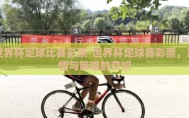 世界杯足球比赛彩票-世界杯足球赛彩票，激情与策略的交织