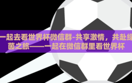 一起去看世界杯微信群-共享激情，共赴绿茵之旅——一起在微信群里看世界杯