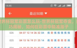 世界杯冠军彩票怎么玩-世界杯冠军夺金，技巧揭秘，如何在彩票中精准落子