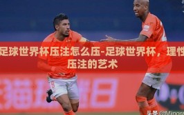 足球世界杯压注怎么压-足球世界杯，理性压注的艺术