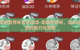 足球世界杯足彩玩法-足球世界杯，足彩玩法的魅力与策略