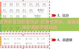 世界杯足球彩票玩法-玩转世界杯，揭秘足球彩票的多样玩法