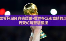 世界杯足彩竞猜结果-世界杯足彩竞猜的风云变幻与智慧碰撞