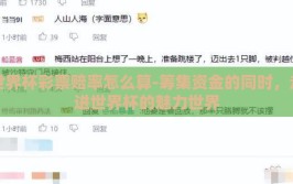世界杯彩票赔率怎么算-筹集资金的同时，走进世界杯的魅力世界