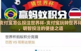 支付宝怎么投注世界杯-支付宝玩转世界杯，明智投注的便捷之道
