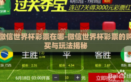 微信世界杯彩票在哪-微信世界杯彩票的购买与玩法揭秘