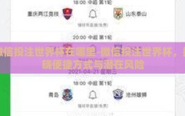 微信投注世界杯在哪里-微信投注世界杯，揭晓便捷方式与潜在风险