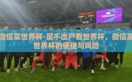 微信买世界杯-足不出户看世界杯，微信买世界杯的便捷与风险