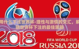 用什么下注世界杯-理性与激情的交汇，解锁世界杯下注的最佳策略