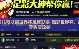 哪儿可以买世界杯足球彩票-足彩世界杯，探寻购买攻略