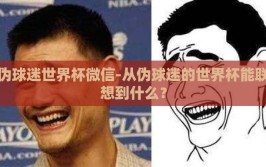 伪球迷世界杯微信-从伪球迷的世界杯能联想到什么？