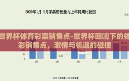 世界杯体育彩票销售点-世界杯回响下的体彩销售点，激情与机遇的碰撞