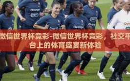 微信世界杯竞彩-微信世界杯竞彩，社交平台上的体育盛宴新体验