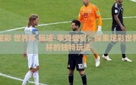 足彩 世界杯 玩法-享受盛宴，探索足彩世界杯的独特玩法