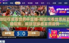 微信在哪看世界杯直播-微信观看世界杯直播指南，解锁足球盛宴新姿势