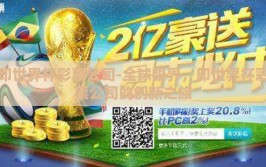 印世界杯彩票公司-全球眼界，印世界杯彩票公司的创新之旅