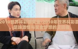 2010世界杯彩票奖金-2010年世界杯彩票，足球激情与奖金梦想的交响曲