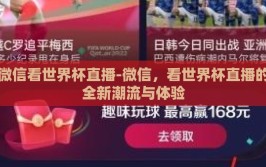 微信看世界杯直播-微信，看世界杯直播的全新潮流与体验