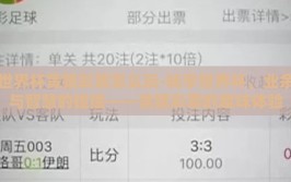 世界杯竞猜彩票怎么玩-畅享世界杯，业余与智慧的碰撞——竞猜彩票的趣味体验