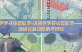 世界杯体育彩票-透视世界杯体育彩票——选择背后的激情与策略
