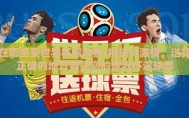 在哪里买世界杯滚球票-挑战与激情，选择正确的地方购买您的世界杯滚球票
