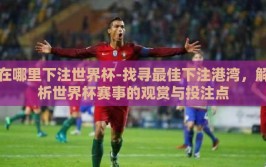 在哪里下注世界杯-找寻最佳下注港湾，解析世界杯赛事的观赏与投注点