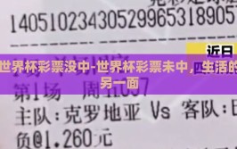 世界杯彩票没中-世界杯彩票未中，生活的另一面
