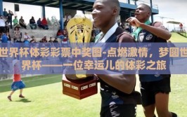 世界杯体彩彩票中奖图-点燃激情，梦圆世界杯——一位幸运儿的体彩之旅