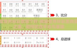 买世界杯彩票哪个好-揭秘世界杯彩票购买之道，如何优选平台与策略