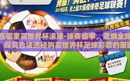 在哪里买世界杯滚球-球赛盛事，激燃全球，探究合法途径购买世界杯足球彩票的策略