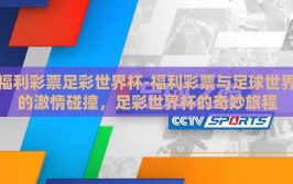 福利彩票足彩世界杯-福利彩票与足球世界的激情碰撞，足彩世界杯的奇妙旅程