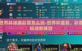 世界杯球赛彩票怎么玩-世界杯盛宴，彩票玩法新体验