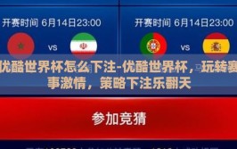 优酷世界杯怎么下注-优酷世界杯，玩转赛事激情，策略下注乐翻天