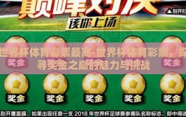 世界杯体育彩票最高-世界杯体育彩票，探寻奖金之巅的魅力与挑战