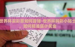 世界杯买彩票如何算钱-世界杯购彩小贴士，如何精准算计奖金