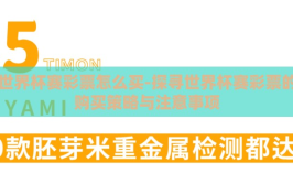 世界杯赛彩票怎么买-探寻世界杯赛彩票的购买策略与注意事项