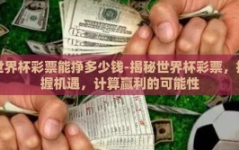 世界杯彩票能挣多少钱-揭秘世界杯彩票，把握机遇，计算赢利的可能性