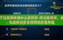 下注世界杯用什么软件好-押注世界杯，优化选择与安全保障的双重考量