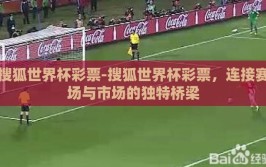 搜狐世界杯彩票-搜狐世界杯彩票，连接赛场与市场的独特桥梁
