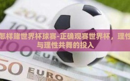 怎样赌世界杯球赛-正确观赛世界杯，理性与理性共舞的投入